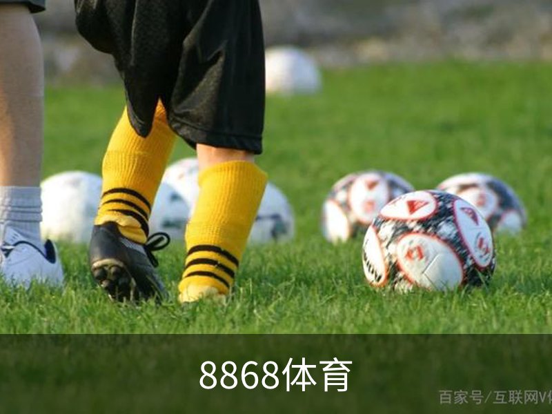 8868体育概况